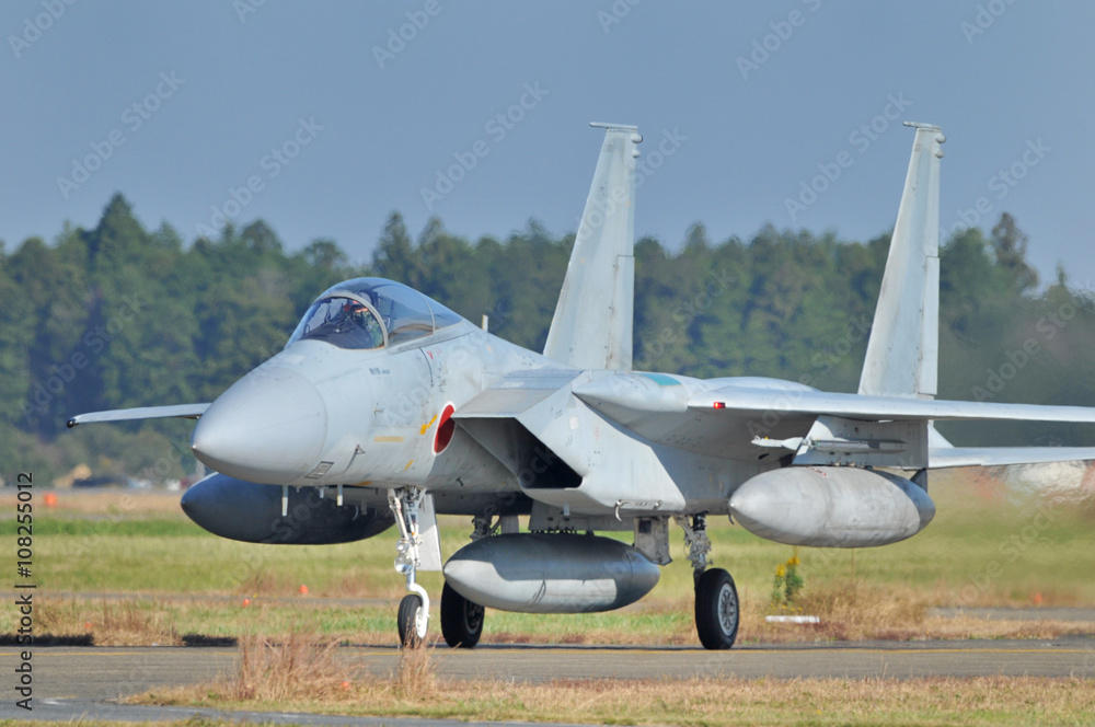 航空自衛隊のイーグル 航空自衛隊のイーグル