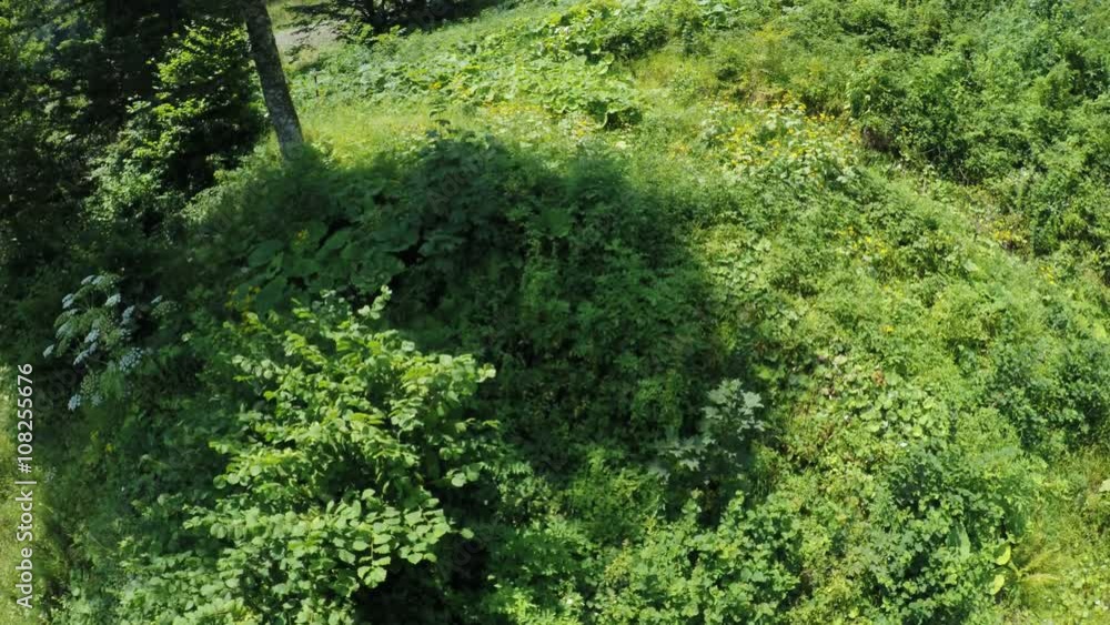 Lifts in mountains in summer