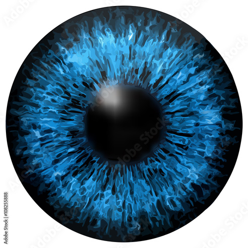 Eye iris vector texture