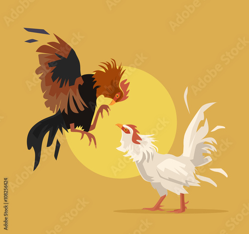 Two cocks fighting. Vector flat cartoon illustration