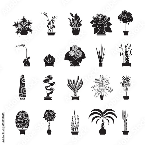 Silhouette icons of houseplants, indoor and office plants in pot.