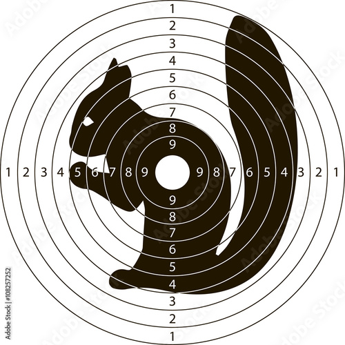 target shooting squirrel