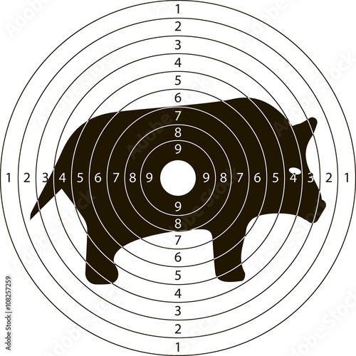 target shooting wild boar