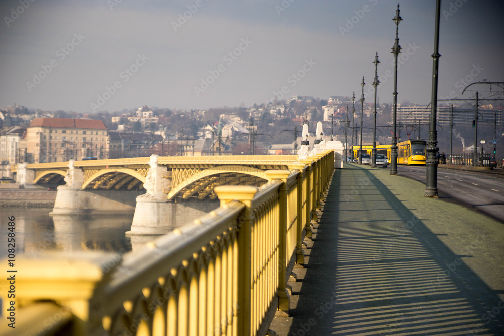Naklejka premium Bridge over Danube