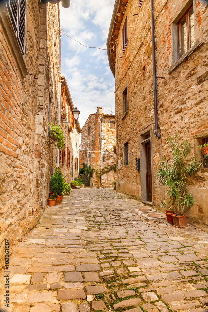 Fototapeta Stare uliczki zieleni średniowiecznego miasta Toskanii