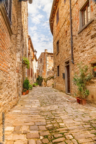 Old streets of greenery a medieval Tuscan town © fotoluk1983