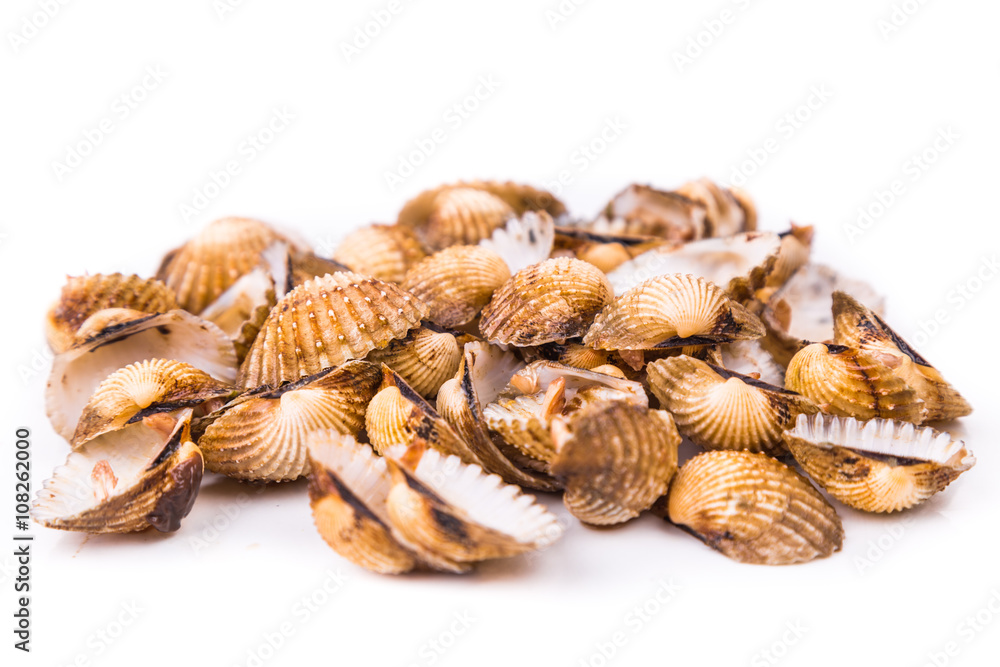 Cockles shells can be recycled as partial cement replacement in concrete Cockles shells can be recycled as partial cement replacement in concrete