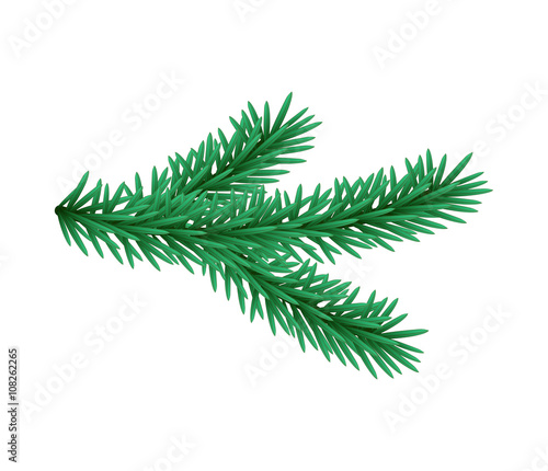Green lush spruce branch. Fir branches. Isolated illustration in vector format