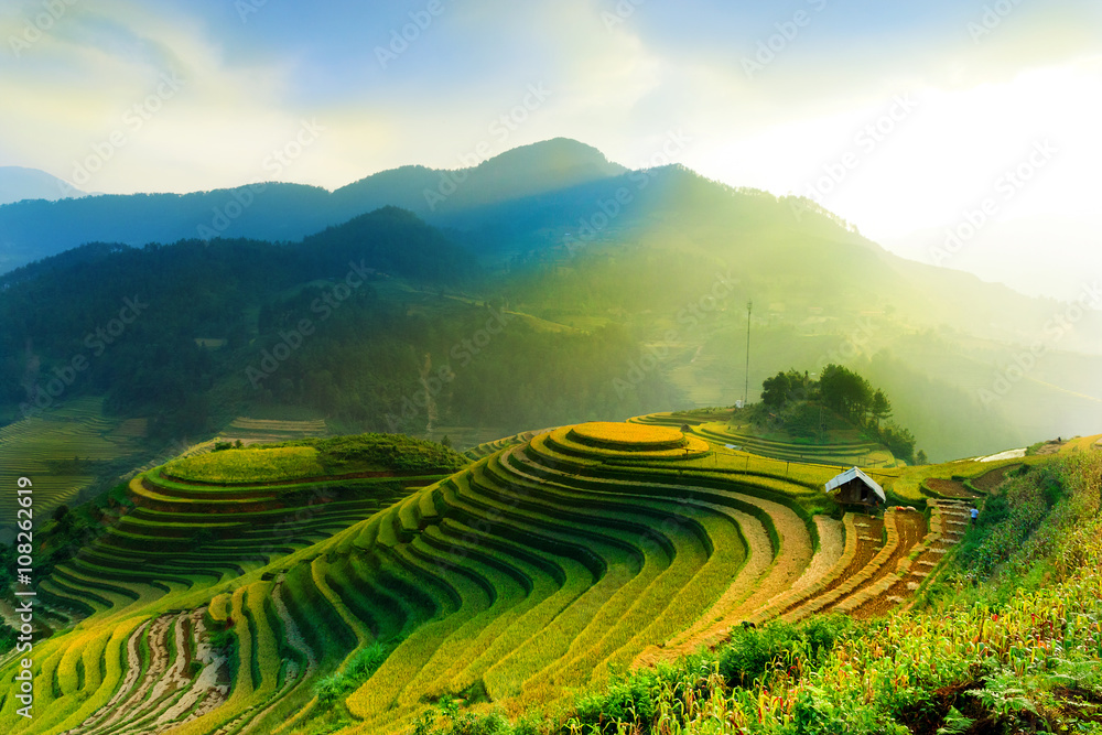 Fototapeta premium Rice fields on terraced of Mu Cang Chai, YenBai, Vietnam. Rice fields prepare the harvest at Northwest Vietnam.Vietnam landscapes.