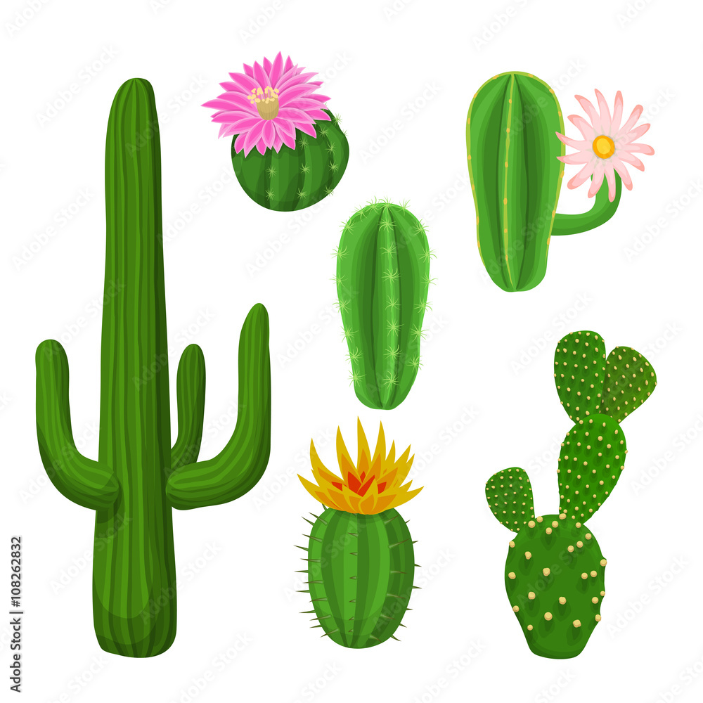 Cacti plant set. Vector illustration with cacti. Cacti plant set. Vector illustration with cacti.