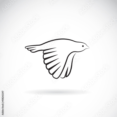Vector image of an bird icon on white background. Finch