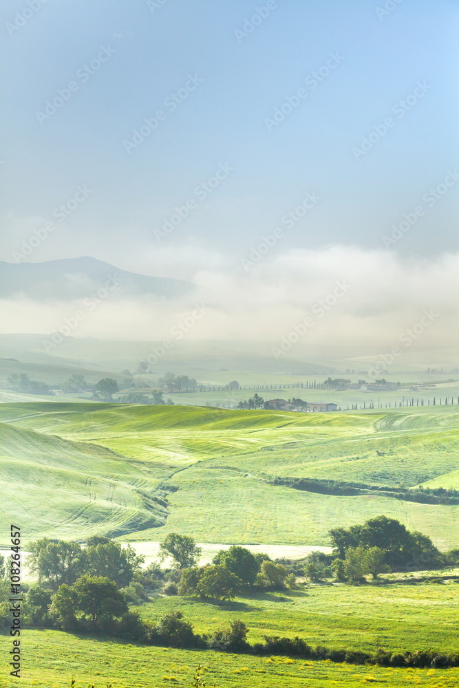 Tuscany, panoramic landscape - Italy