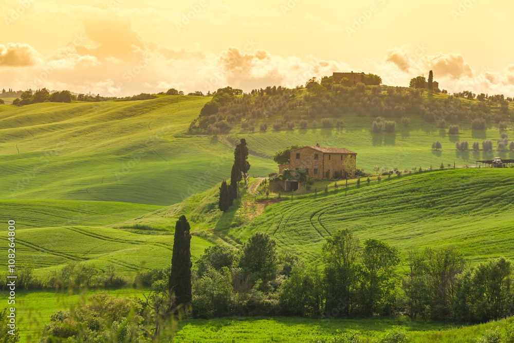 Tuscany, panoramic landscape - Italy