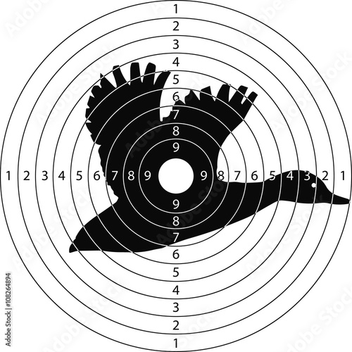 target shooting duck