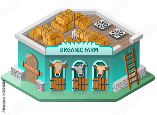 Organic farm with cows and haystacs on the roof. Isometric view. Vector illustration