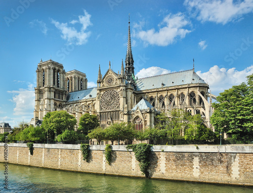 Fotografie, Obraz Notre-Dame side view, Paris, France