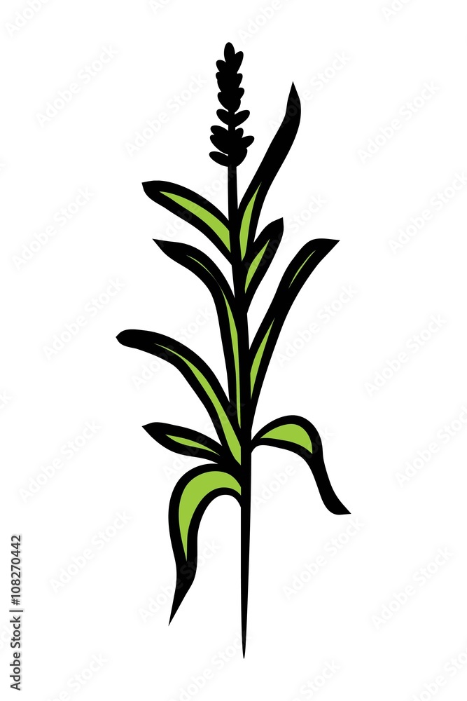 Obraz premium green plant