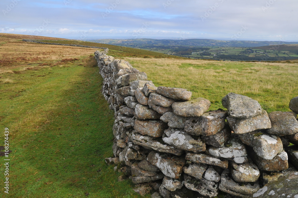 Stone wall in Dartmoor national park