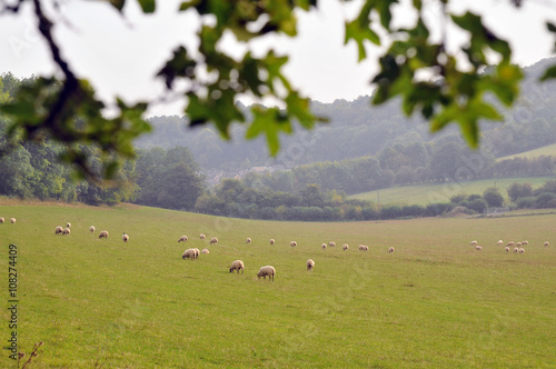 Countryside landscape of central England photo