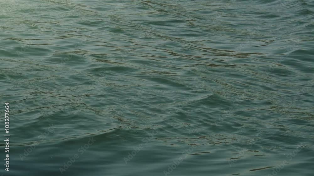 Water waves on river surface on a windy day. Water waves on river surface on a windy day.