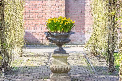 Vase with fowers outdoor