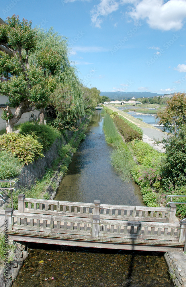 Fototapeta premium みそぎ川