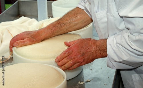 senior expert cheesemaker checks he wheel of cheese just made in