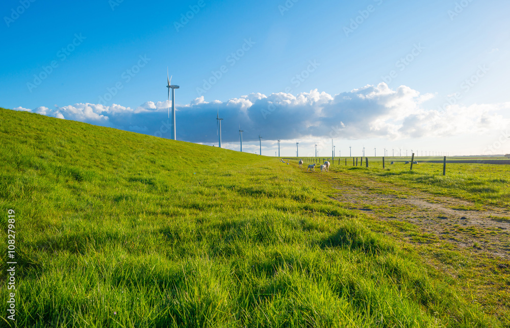 Fototapeta premium Wind turbines along a dike in spring 