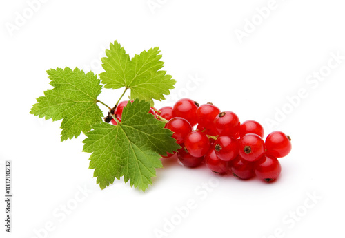 Johannisbeeren