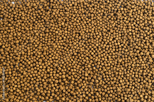 Small Fish feed