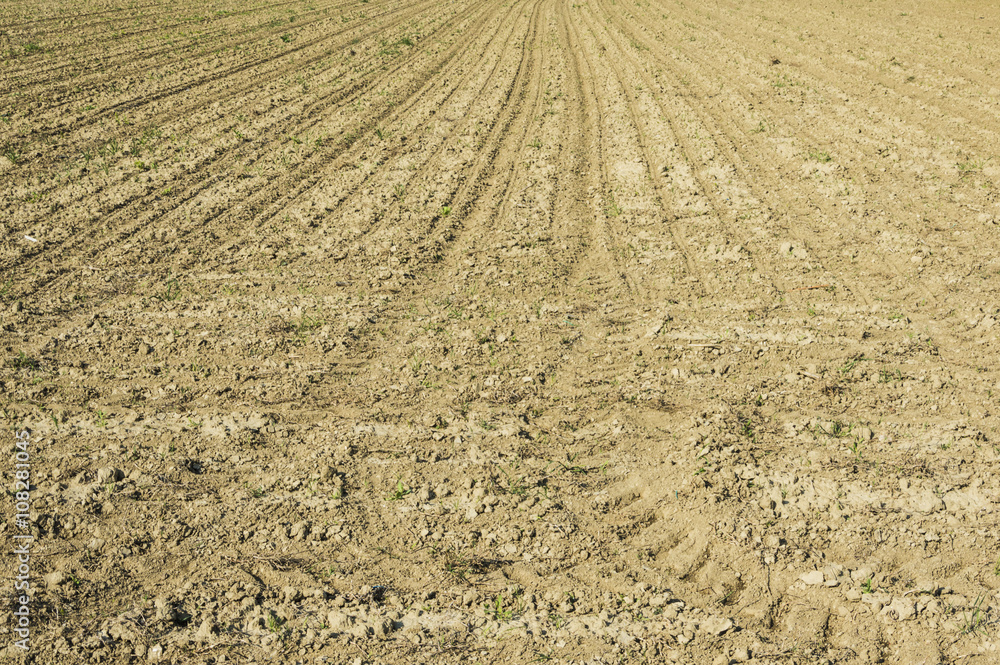 Texture of a cultivated field after passage of tractors and sowing