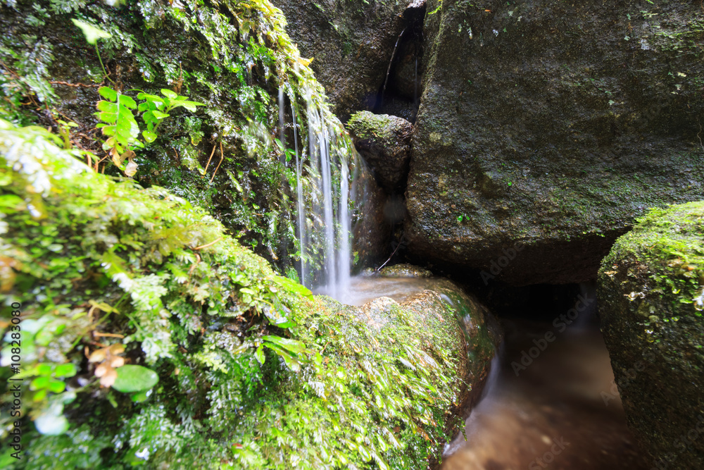 Waterfall of a small creek on Yakushima, Japan Waterfall of a small creek on Yakushima, Japan