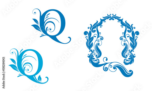 logo Q