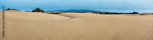 Panorama of sand desert