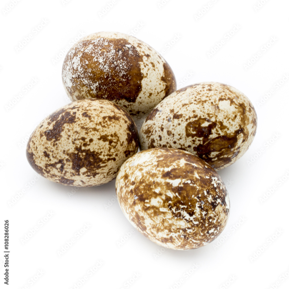 Obraz premium Quail eggs the isolated on a white background.