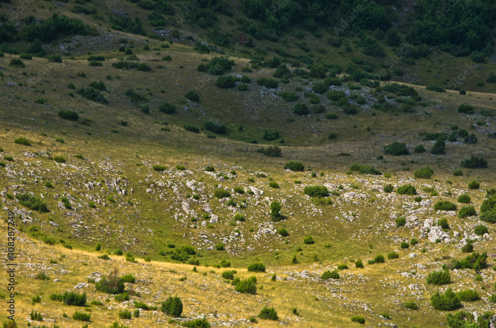 Karst sinkholes, detail from Pester plateau landscape in southwest Serbia
