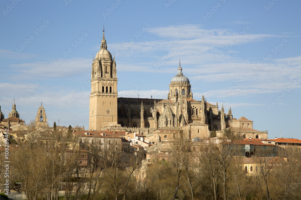 Fototapeta premium Cathedral Church, Spain, Salamanca