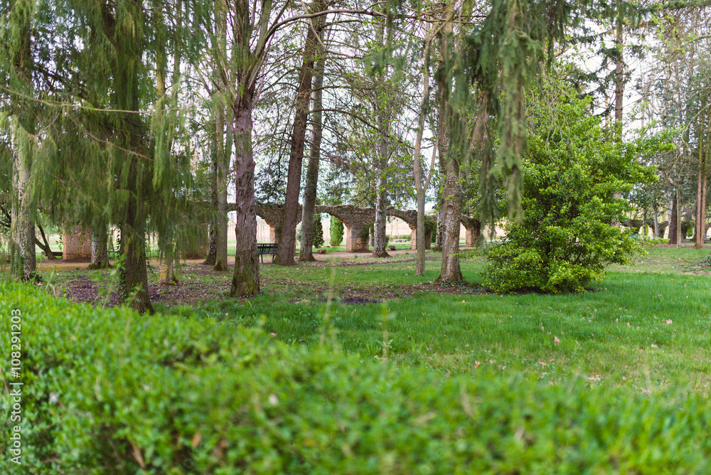 Obraz premium Green Park