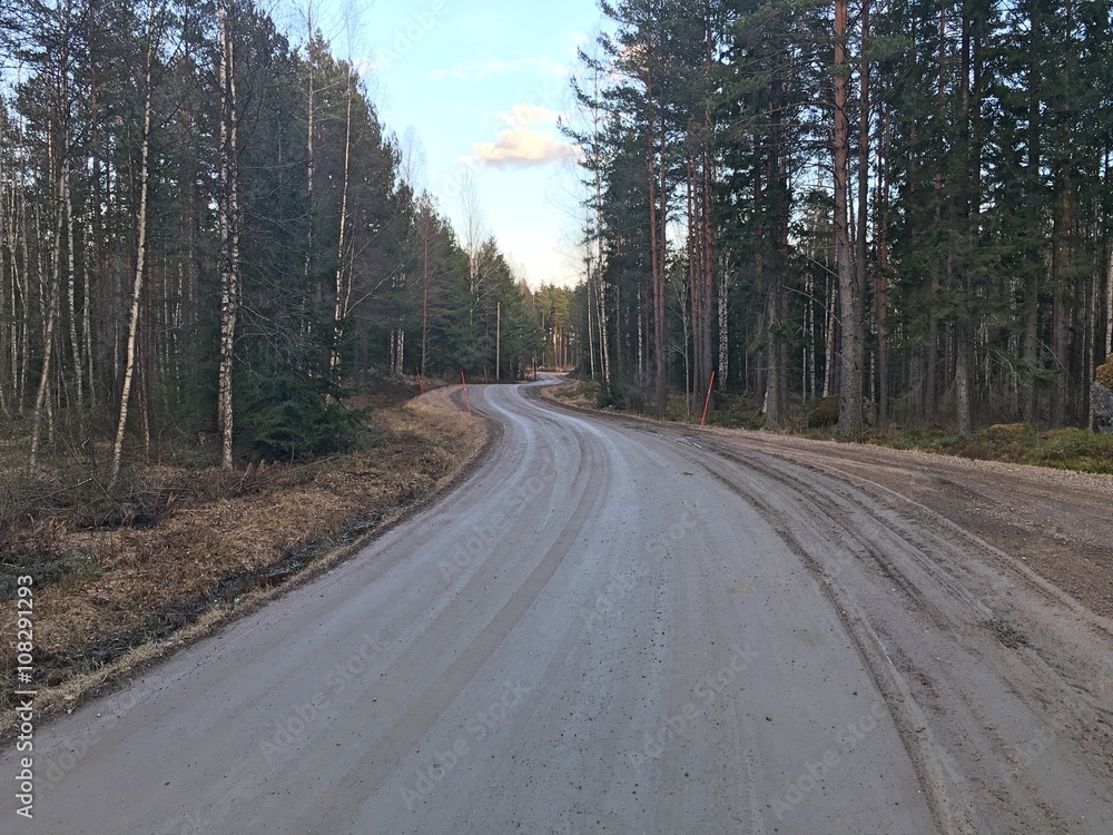 Obraz premium Road