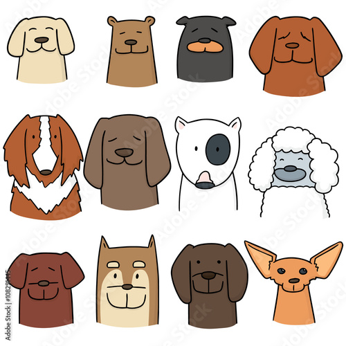 vector set of dog