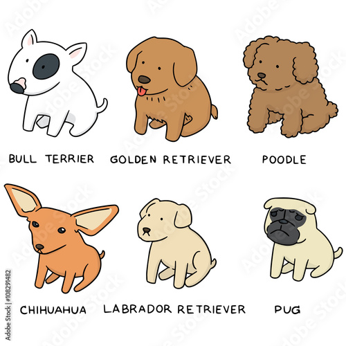 vector set of dog