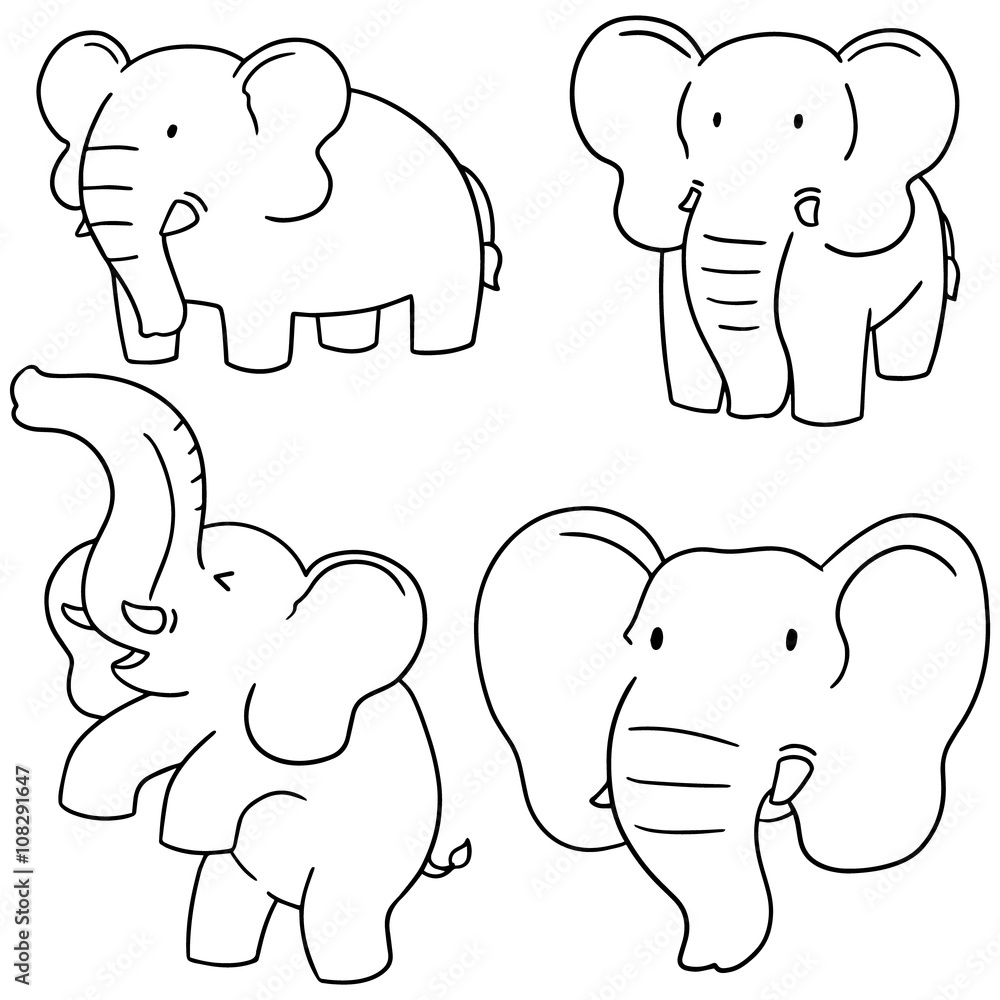 Fototapeta premium vector set of elephant