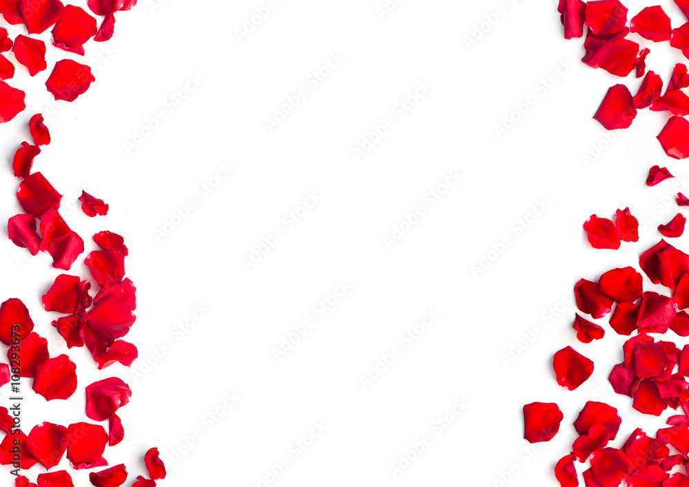 Romantic background of red rose petals