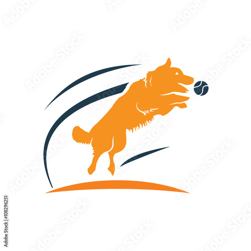 Train Active Jumping Dog Animal Care Illustration