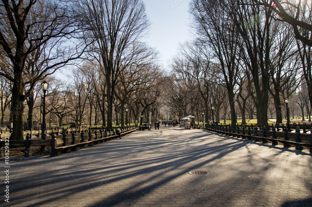 Central Park New York