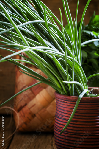Green onions, vintage wooden background, selective focus, shallo