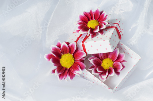 Fototapeta Naklejka Na Ścianę i Meble -  Gift Box With Pink Ribbon And Flowers