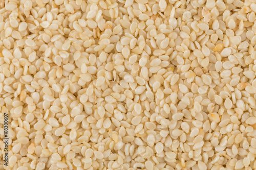 Closeup of lots of sesame seeds