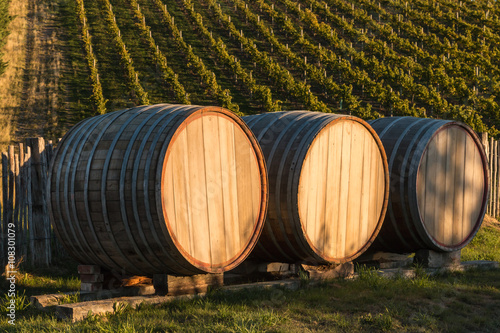 three oak barrels in vineyard