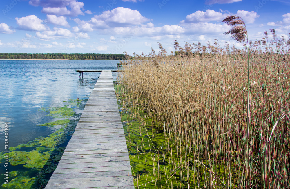 Obraz premium Pier on the lake during spring